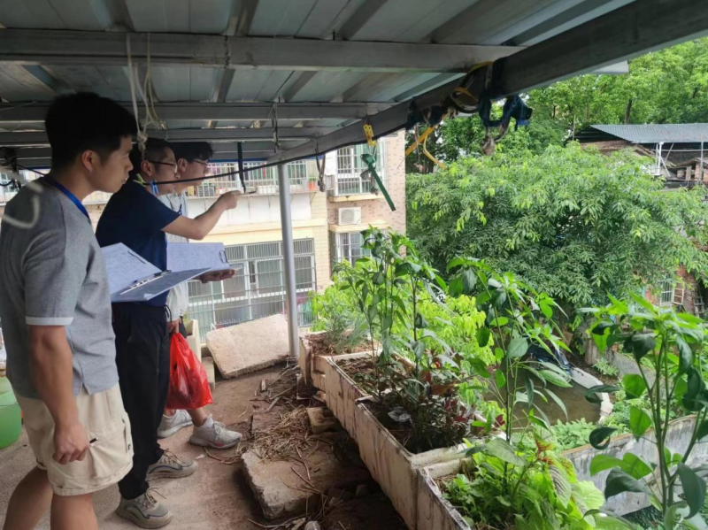 体育博彩
:以青春汗水守护农村自建房安全
